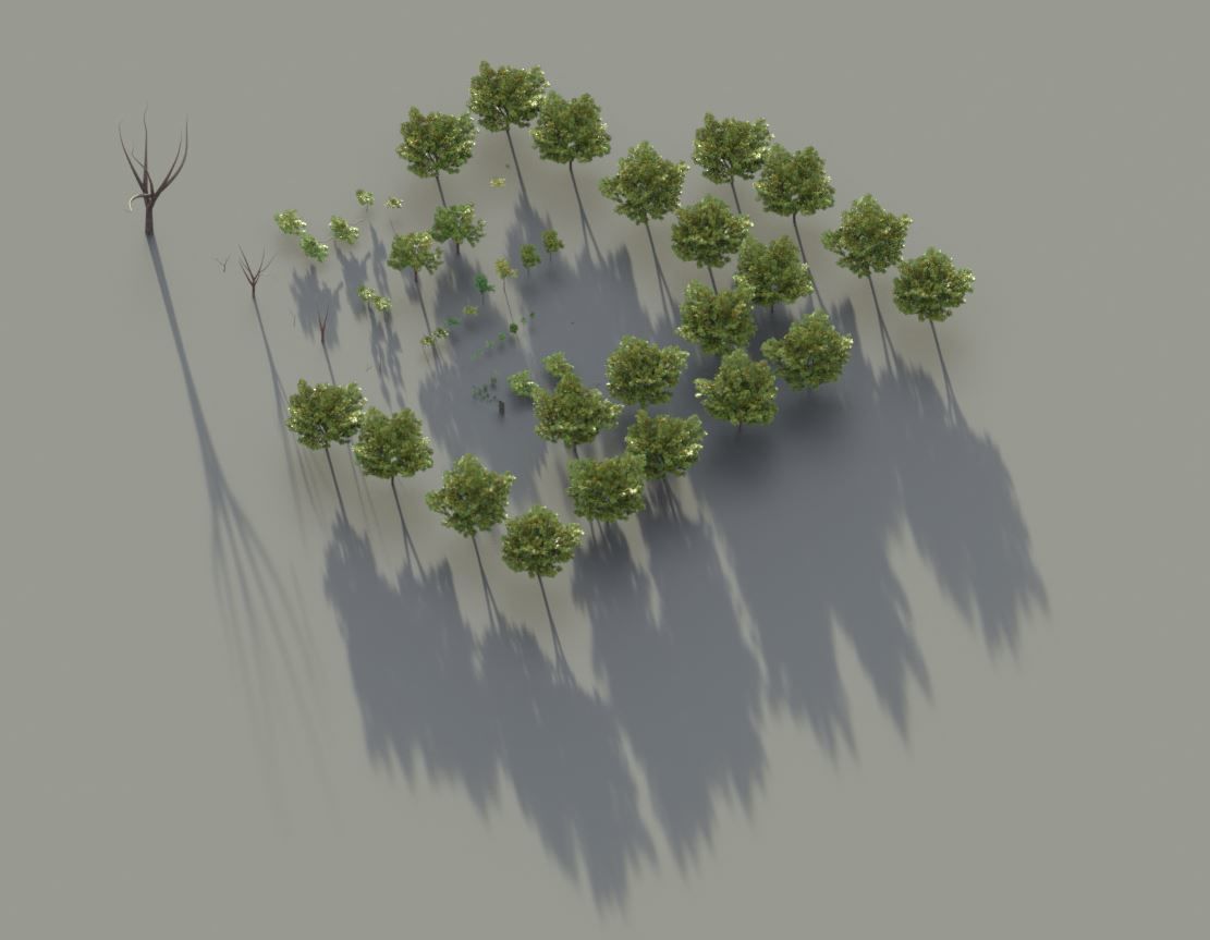 Walnut Honey Empress Black-Alder Yew-Taxus-Baccata Trees 3D Model Collection_113