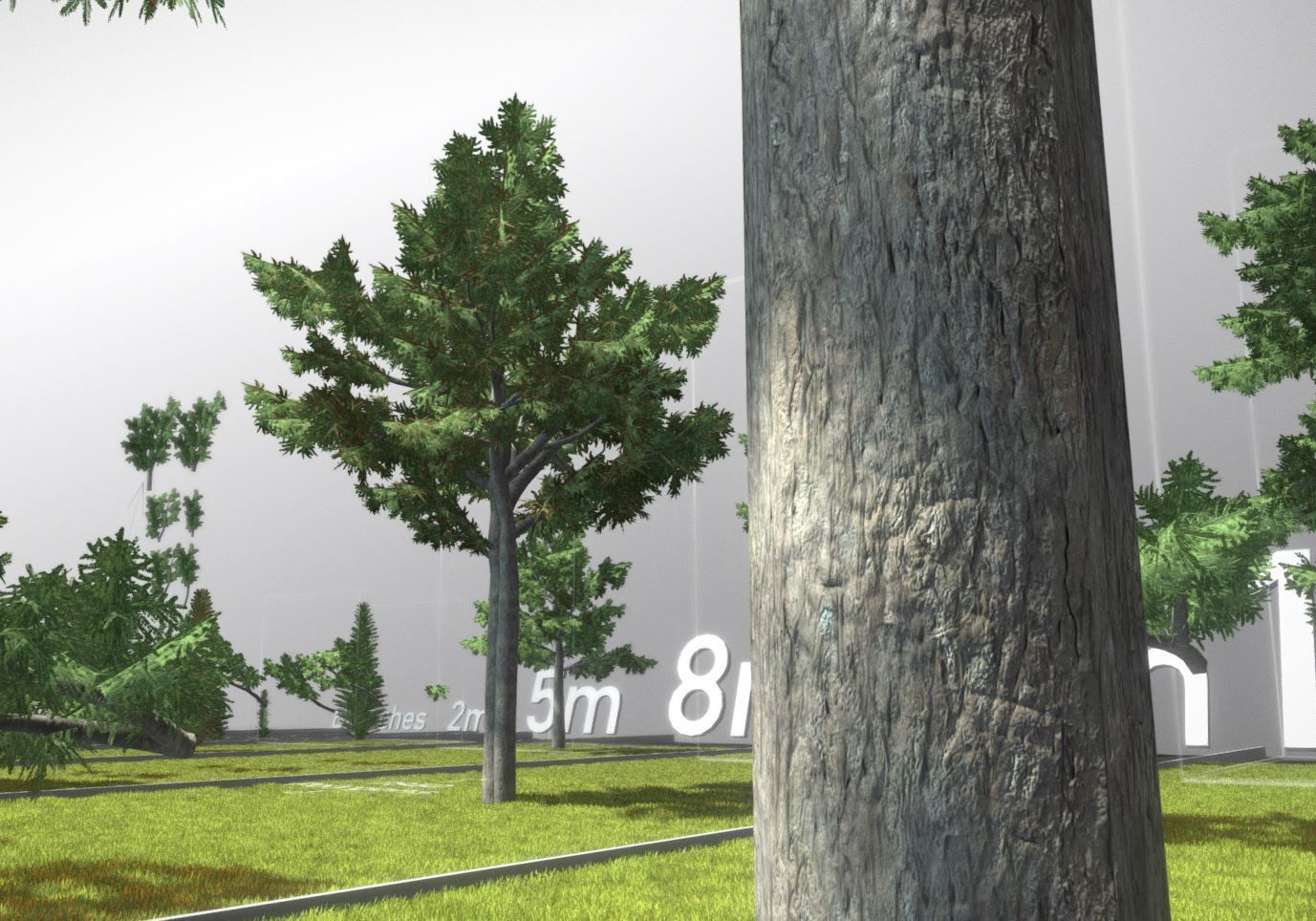 Walnut Honey Empress Black-Alder Yew-Taxus-Baccata Trees 3D Model Collection_25