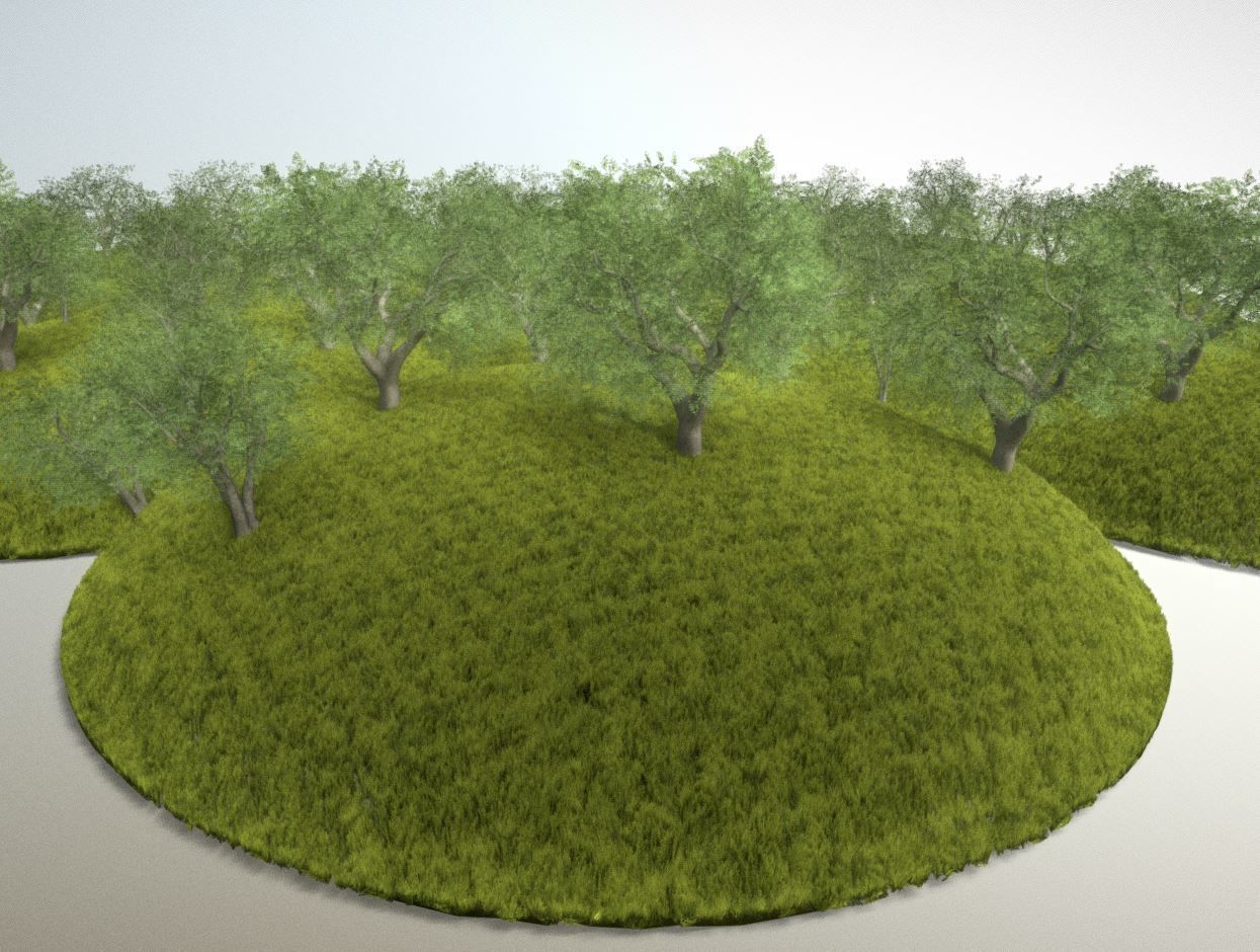 Walnut Honey Empress Black-Alder Yew-Taxus-Baccata Trees 3D Model Collection_111