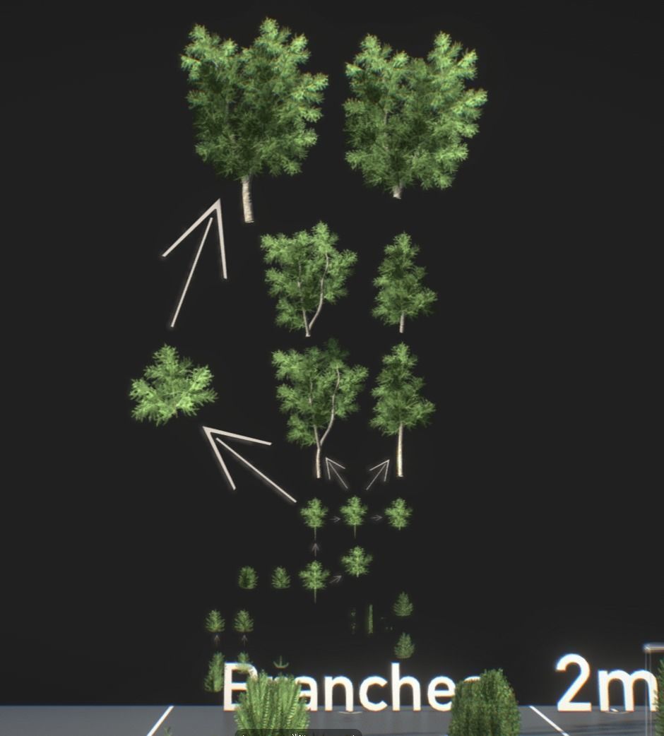 Walnut Honey Empress Black-Alder Yew-Taxus-Baccata Trees 3D Model Collection_21