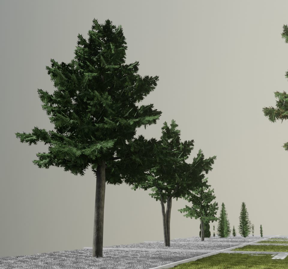 Walnut Honey Empress Black-Alder Yew-Taxus-Baccata Trees 3D Model Collection_12