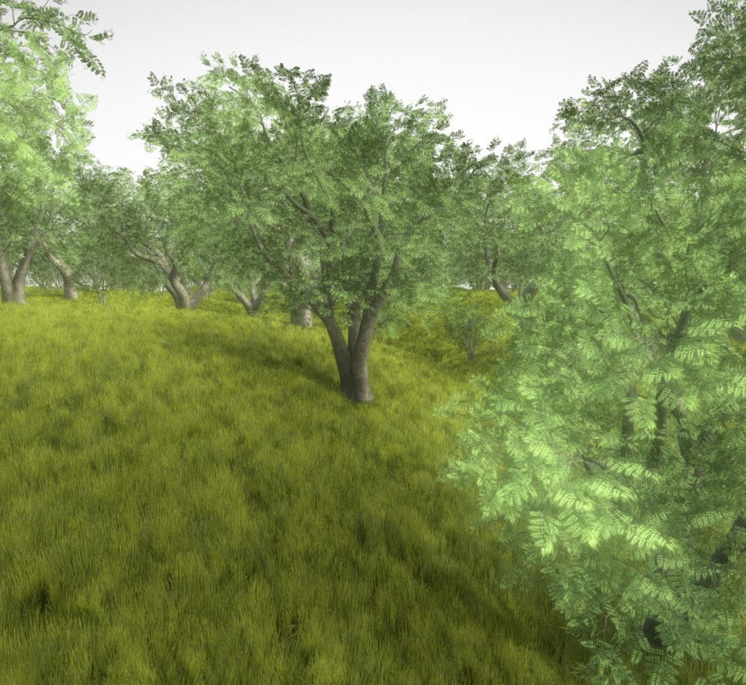 Walnut Honey Empress Black-Alder Yew-Taxus-Baccata Trees 3D Model Collection_107