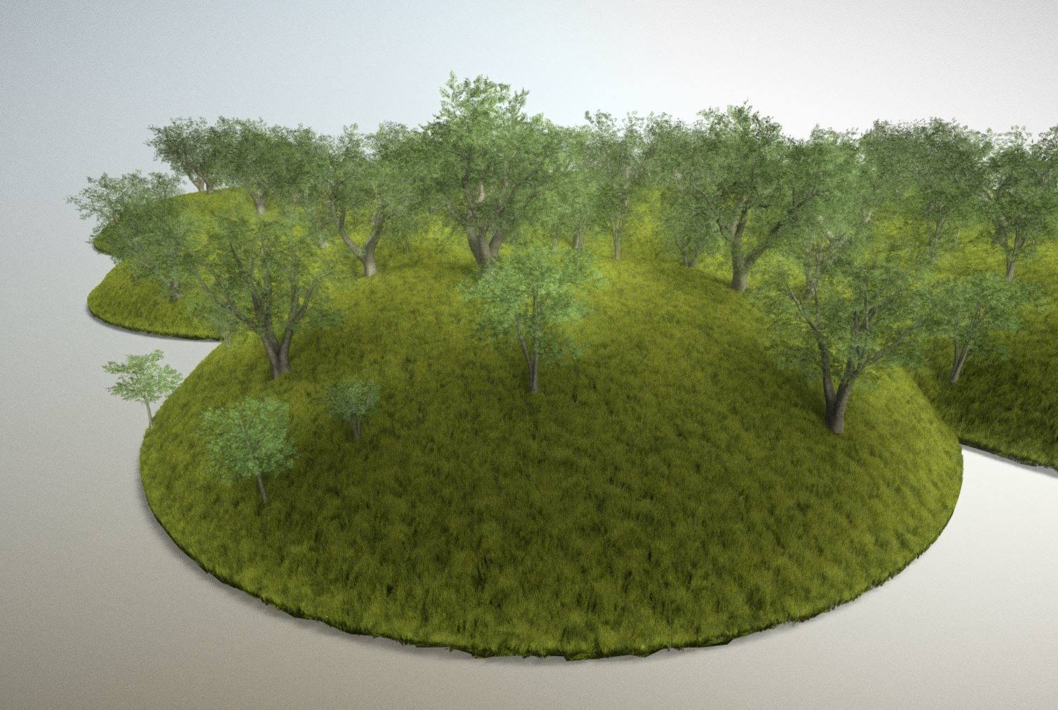 Walnut Honey Empress Black-Alder Yew-Taxus-Baccata Trees 3D Model Collection_110