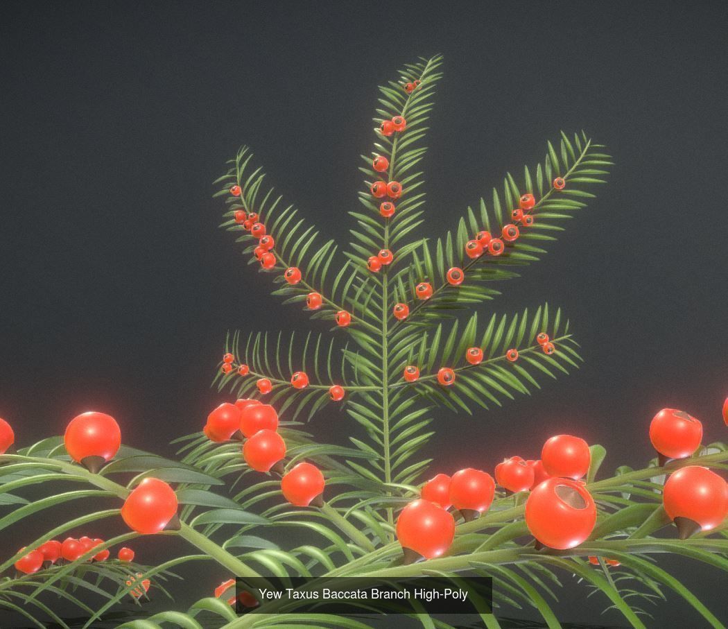 Walnut Honey Empress Black-Alder Yew-Taxus-Baccata Trees 3D Model Collection_7