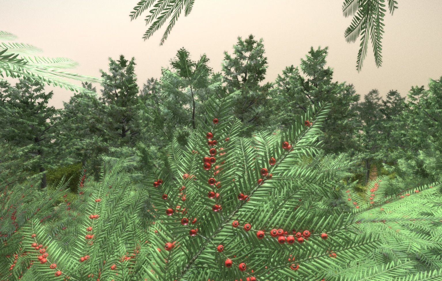 Walnut Honey Empress Black-Alder Yew-Taxus-Baccata Trees 3D Model Collection_49