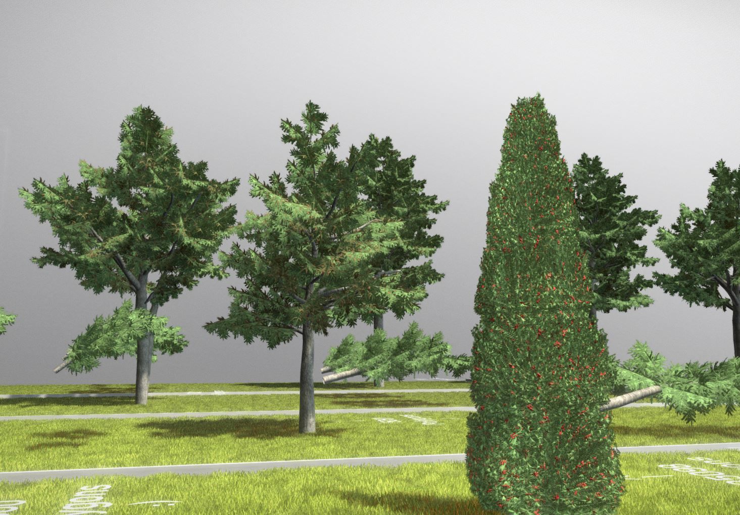 Walnut Honey Empress Black-Alder Yew-Taxus-Baccata Trees 3D Model Collection_39
