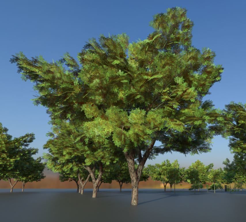 Walnut Honey Empress Black-Alder Yew-Taxus-Baccata Trees 3D Model Collection_119