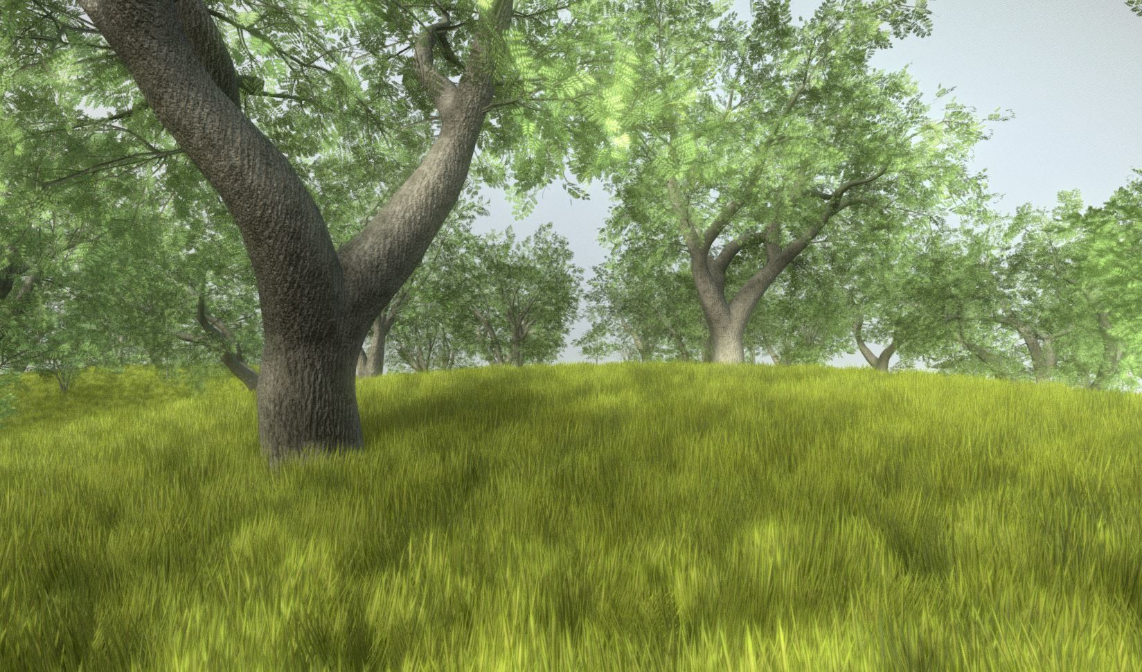 Walnut Honey Empress Black-Alder Yew-Taxus-Baccata Trees 3D Model Collection_101