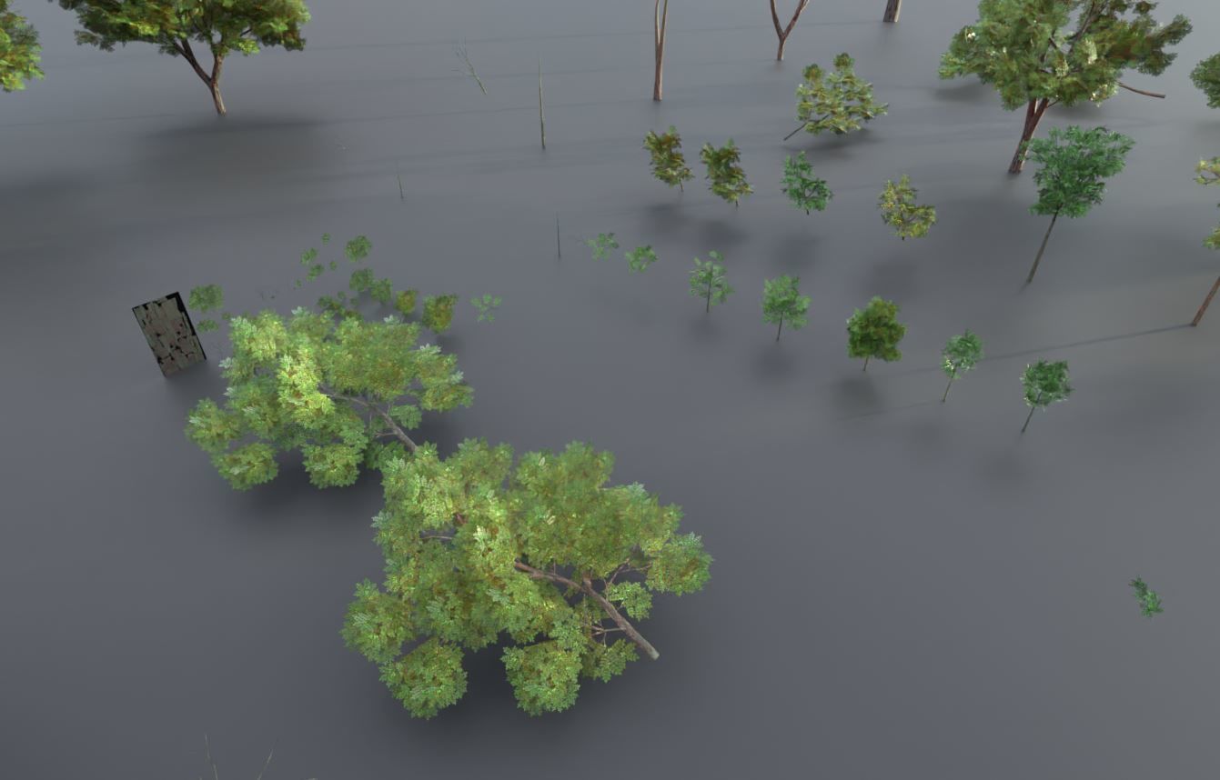 Walnut Honey Empress Black-Alder Yew-Taxus-Baccata Trees 3D Model Collection_131