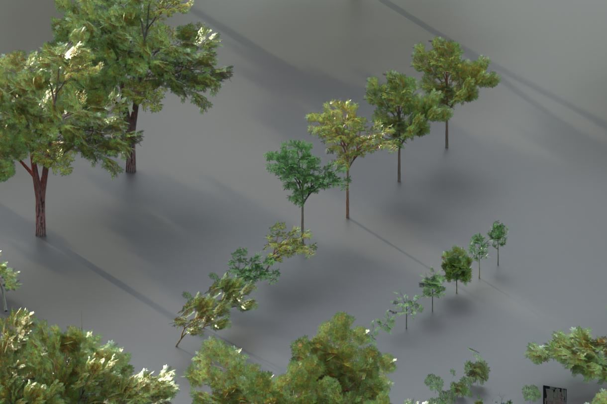 Walnut Honey Empress Black-Alder Yew-Taxus-Baccata Trees 3D Model Collection_129