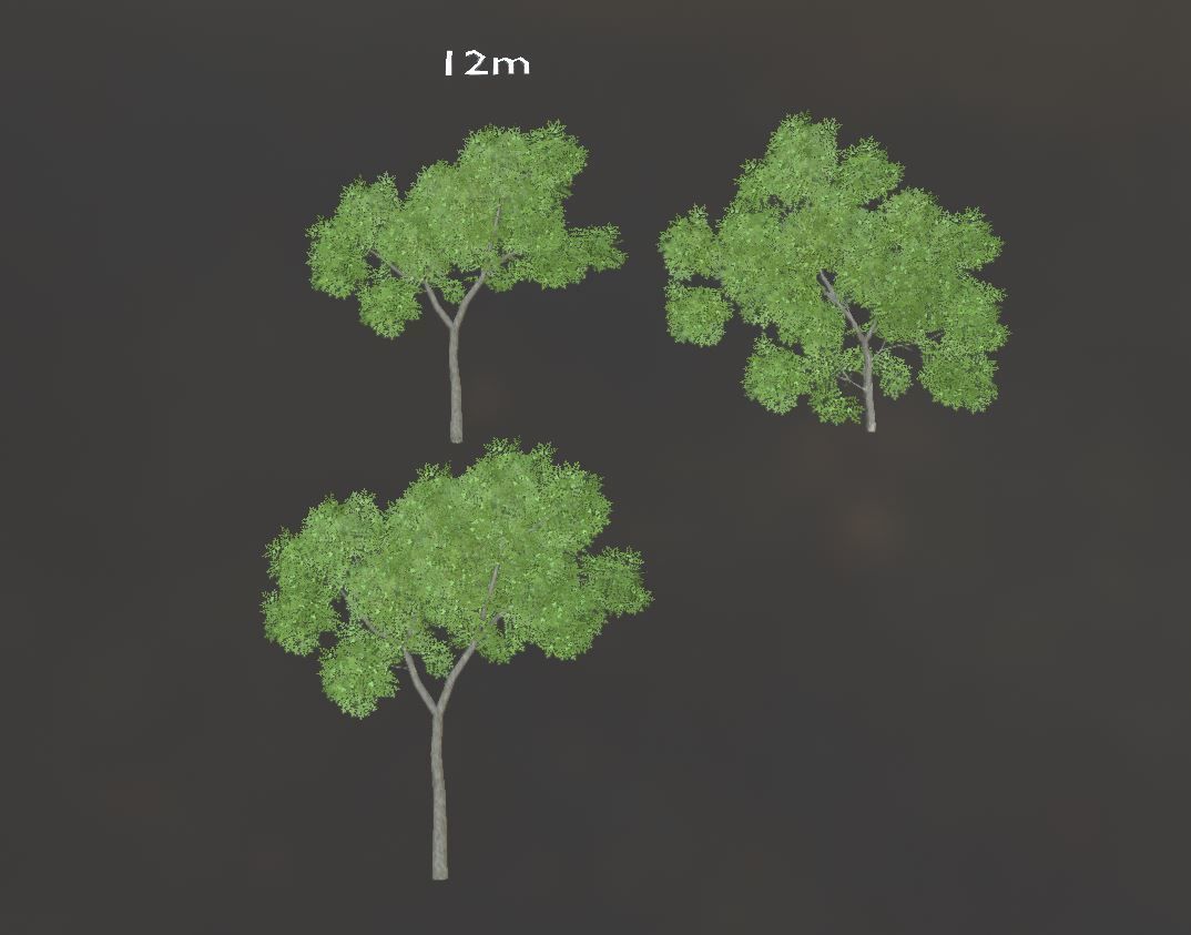 Walnut Honey Empress Black-Alder Yew-Taxus-Baccata Trees 3D Model Collection_118