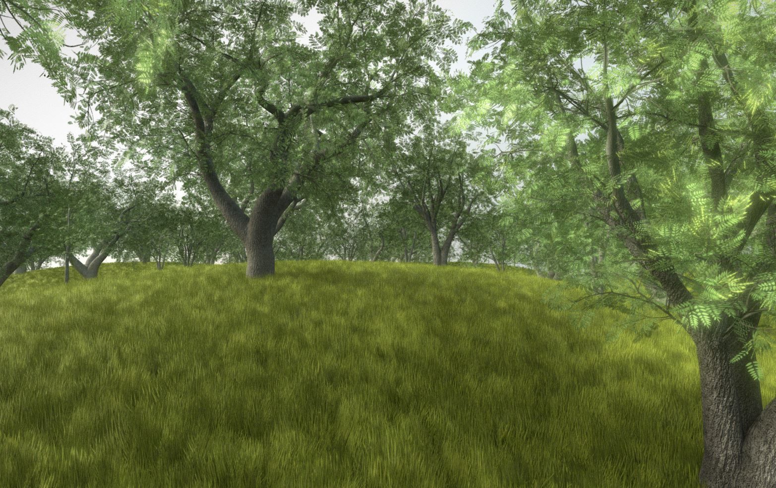 Walnut Honey Empress Black-Alder Yew-Taxus-Baccata Trees 3D Model Collection_103