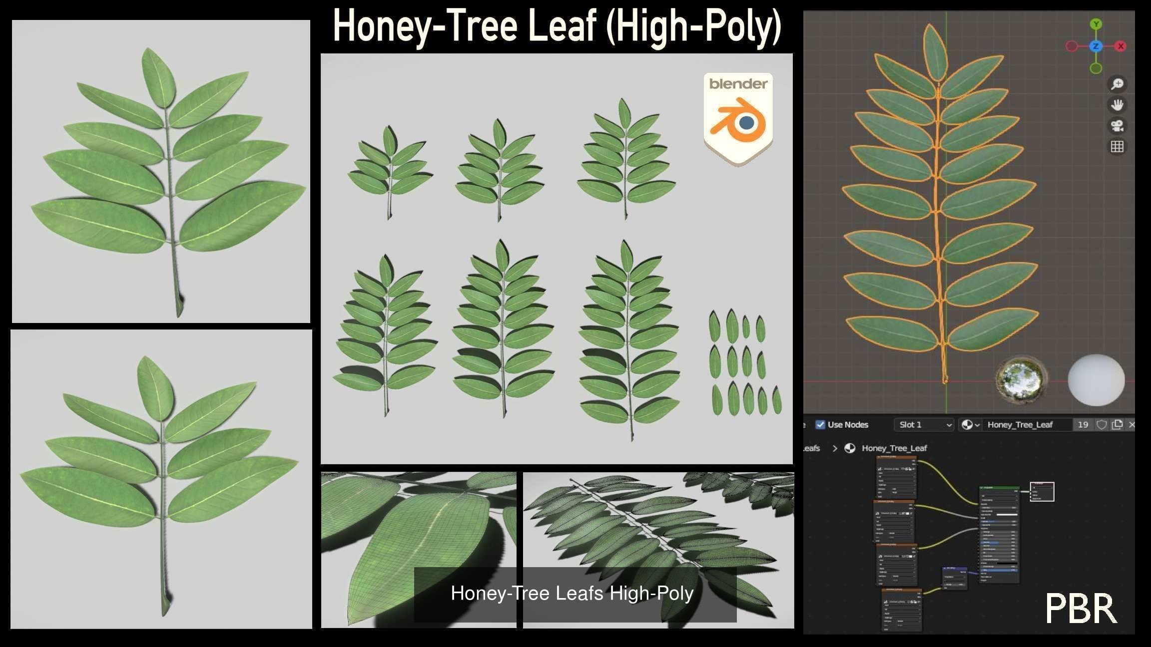 Walnut Honey Empress Black-Alder Yew-Taxus-Baccata Trees 3D Model Collection_6