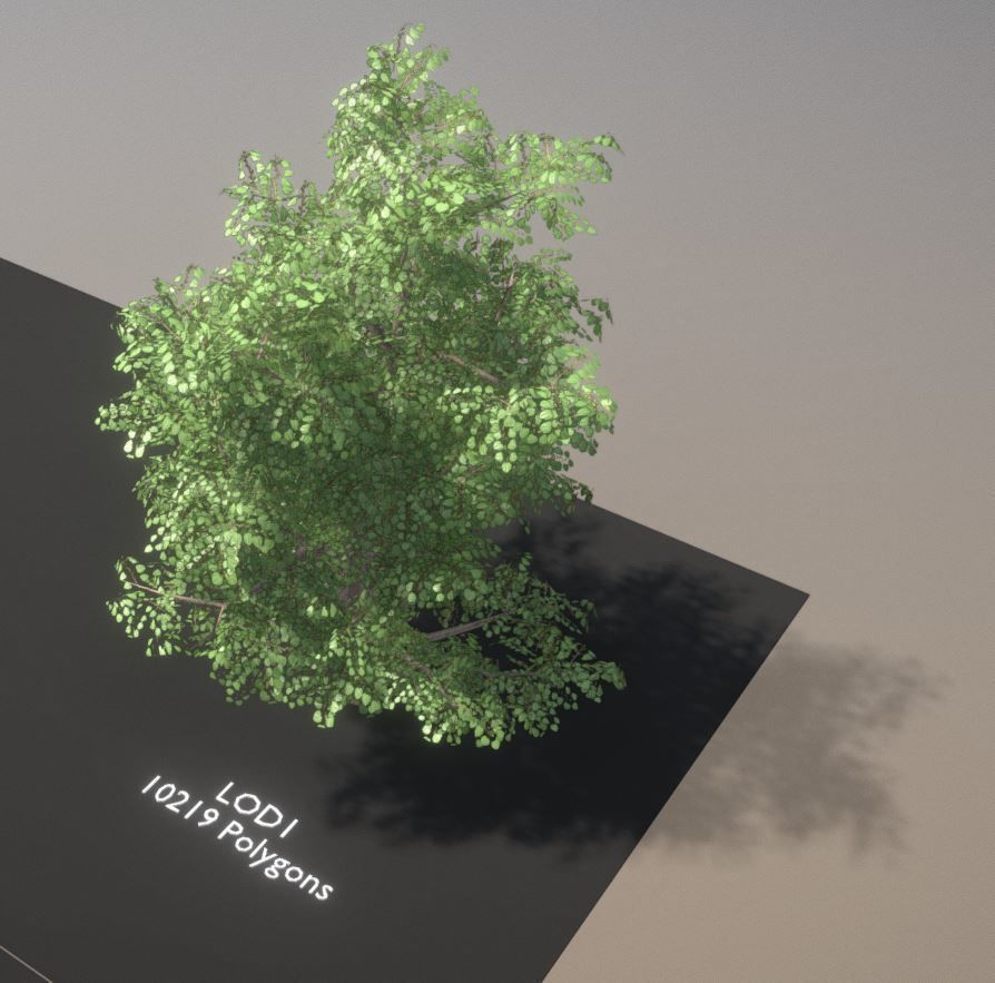 Walnut Honey Empress Black-Alder Yew-Taxus-Baccata Trees 3D Model Collection_99