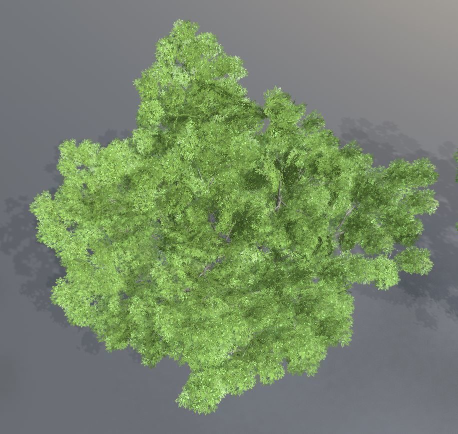 Walnut Honey Empress Black-Alder Yew-Taxus-Baccata Trees 3D Model Collection_121