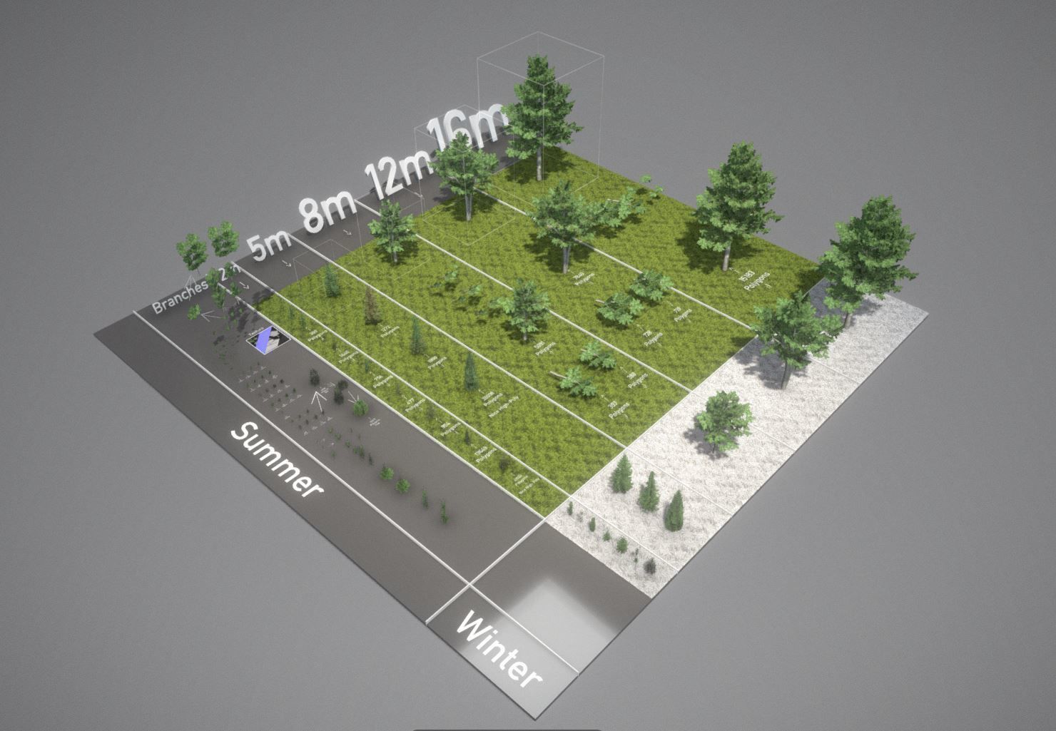 Walnut Honey Empress Black-Alder Yew-Taxus-Baccata Trees 3D Model Collection_24