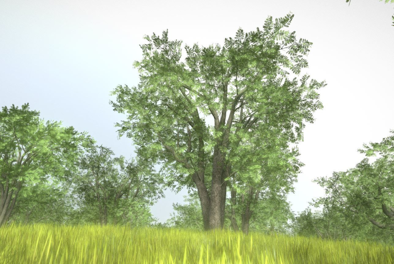 Walnut Honey Empress Black-Alder Yew-Taxus-Baccata Trees 3D Model Collection_104