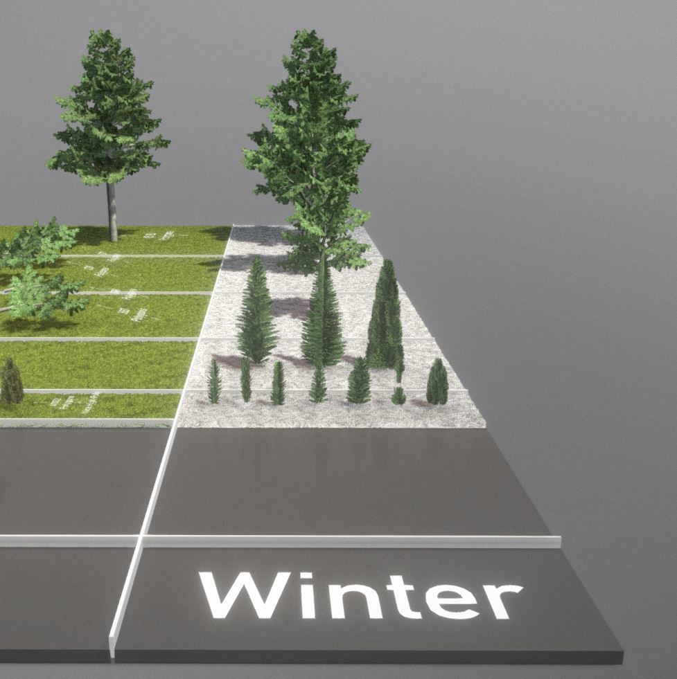 Walnut Honey Empress Black-Alder Yew-Taxus-Baccata Trees 3D Model Collection_16