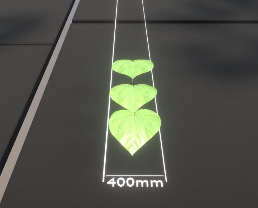 Walnut Honey Empress Black-Alder Yew-Taxus-Baccata Trees 3D Model Collection_59