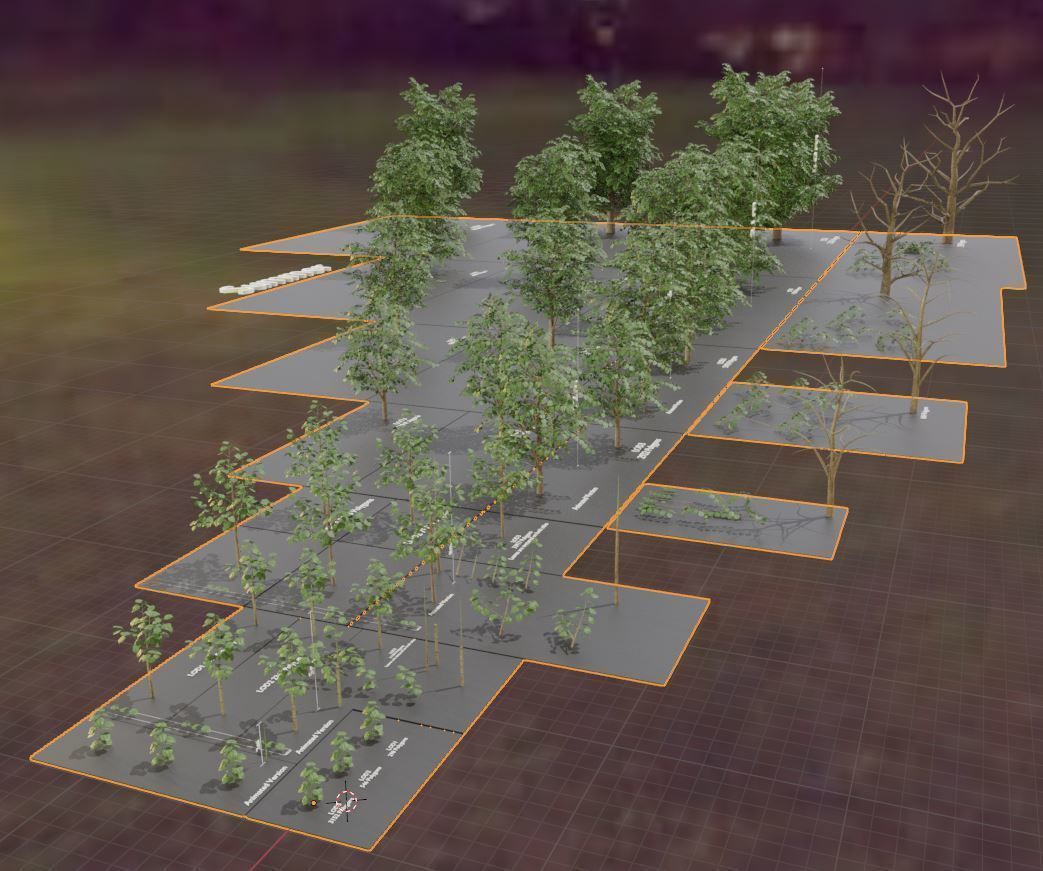 Walnut Honey Empress Black-Alder Yew-Taxus-Baccata Trees 3D Model Collection_78