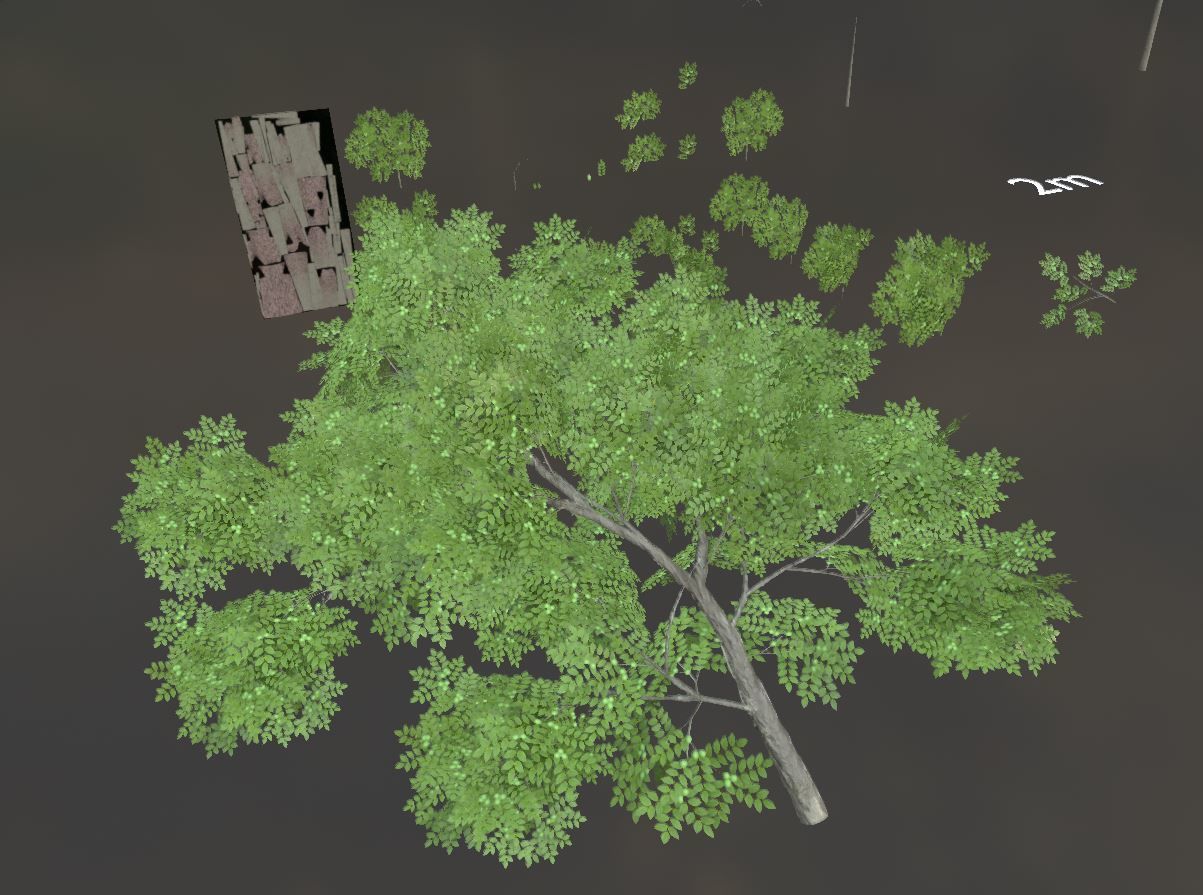 Walnut Honey Empress Black-Alder Yew-Taxus-Baccata Trees 3D Model Collection_123