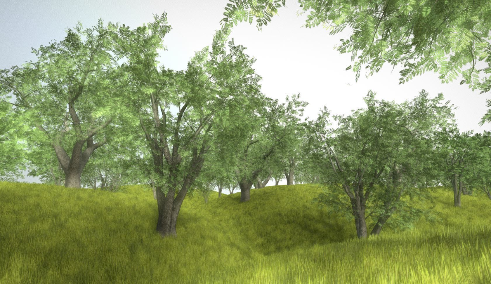 Walnut Honey Empress Black-Alder Yew-Taxus-Baccata Trees 3D Model Collection_108