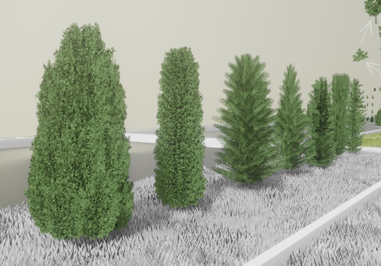 Walnut Honey Empress Black-Alder Yew-Taxus-Baccata Trees 3D Model Collection_26