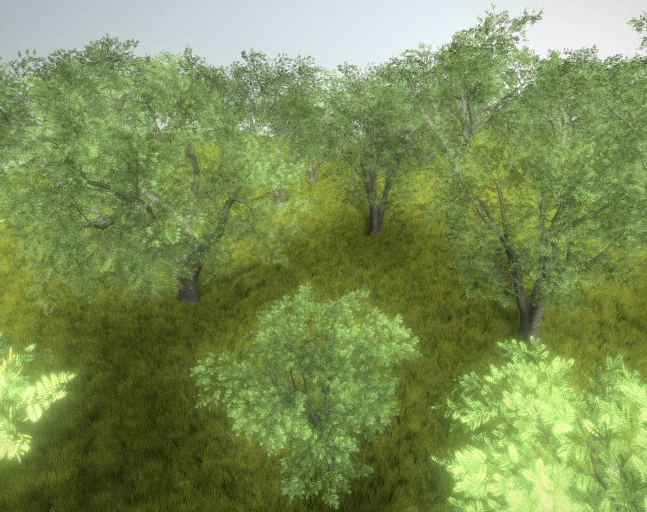 Walnut Honey Empress Black-Alder Yew-Taxus-Baccata Trees 3D Model Collection_105