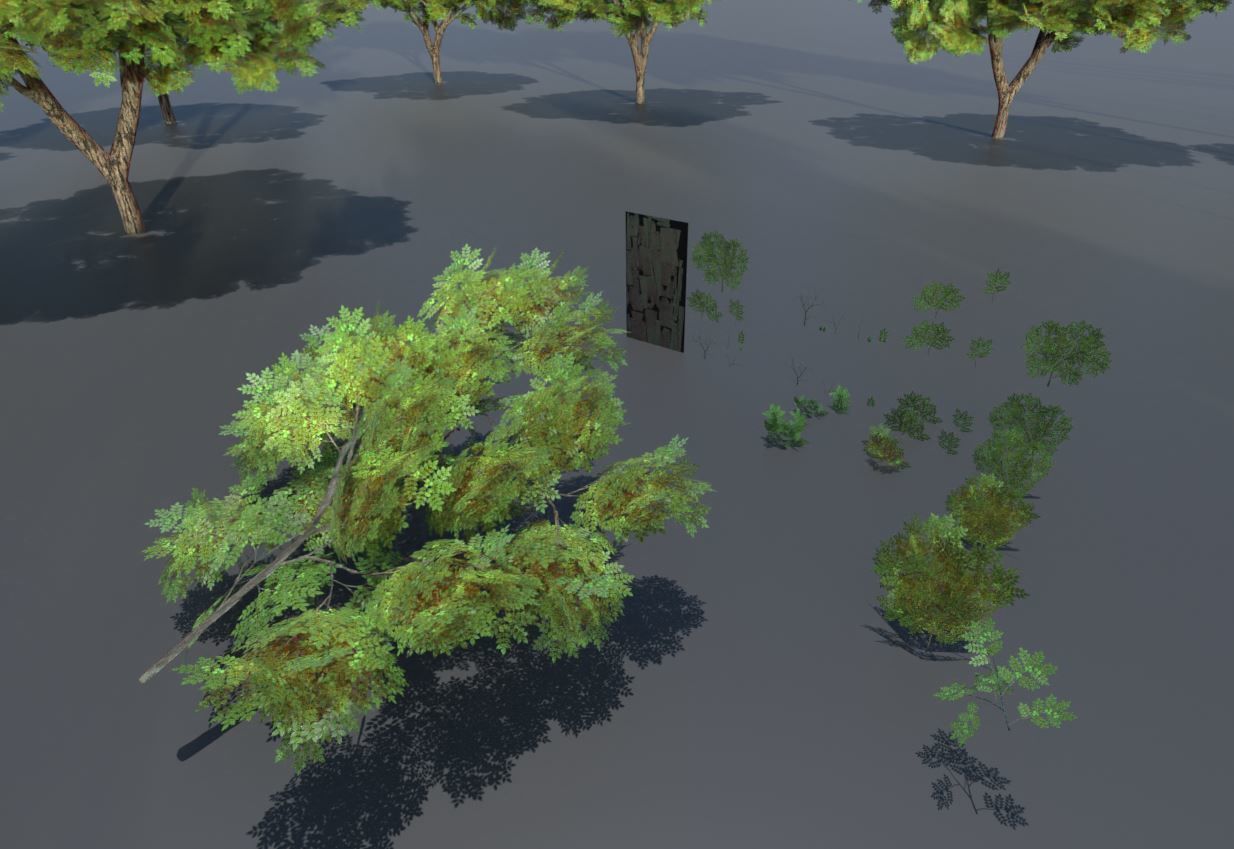 Walnut Honey Empress Black-Alder Yew-Taxus-Baccata Trees 3D Model Collection_127