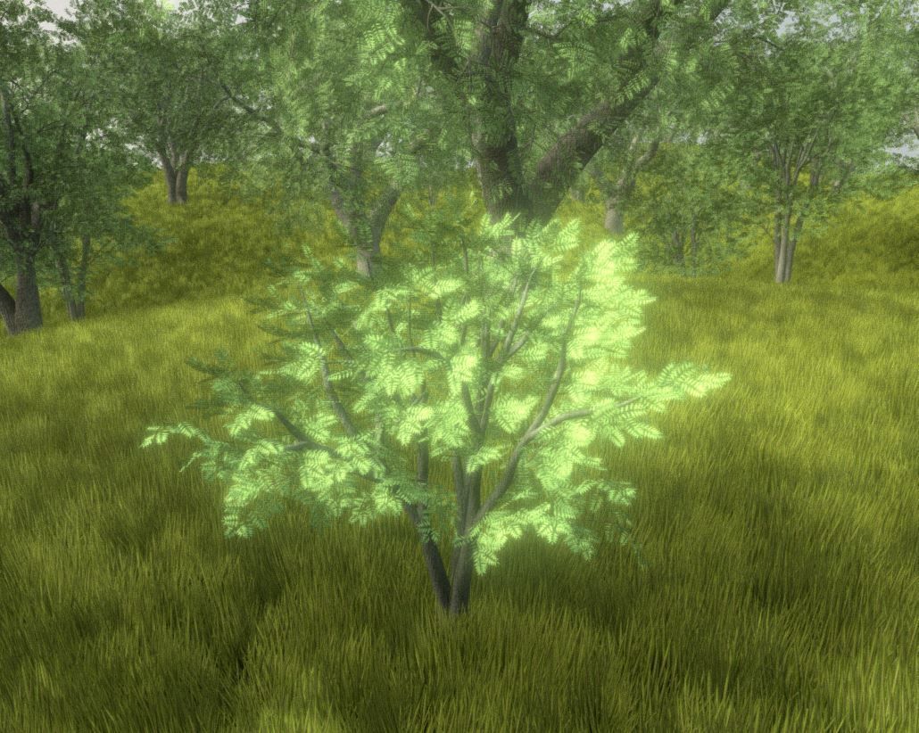 Walnut Honey Empress Black-Alder Yew-Taxus-Baccata Trees 3D Model Collection_112