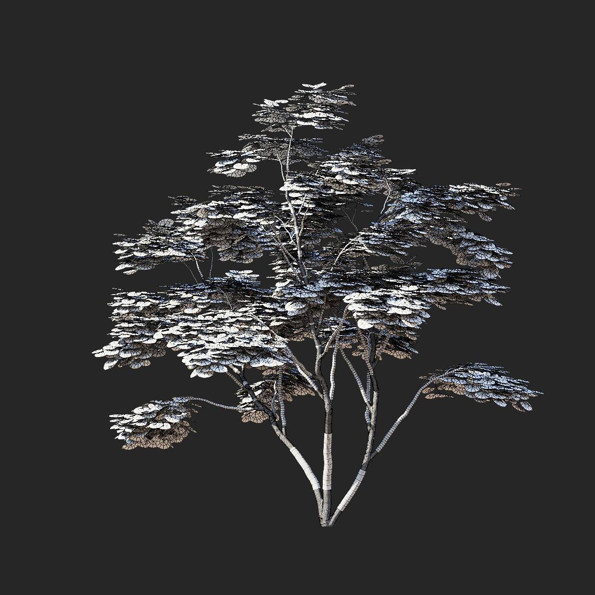 Acer Shirasawanum Aureum trees 3D model_5