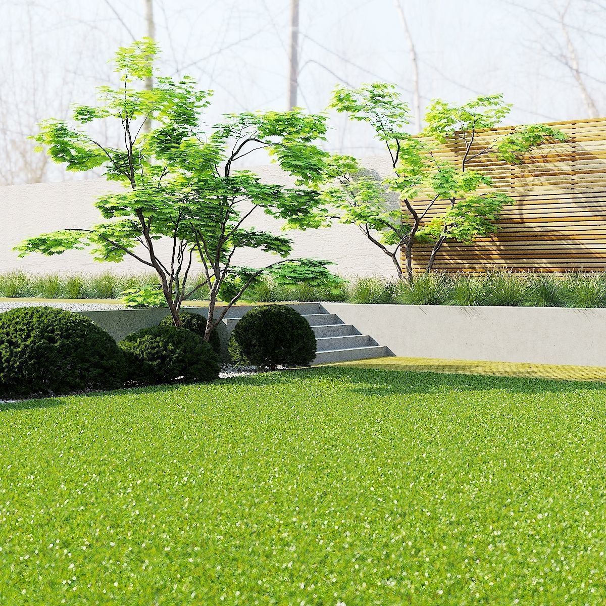 Acer Shirasawanum Aureum trees 3D model_1