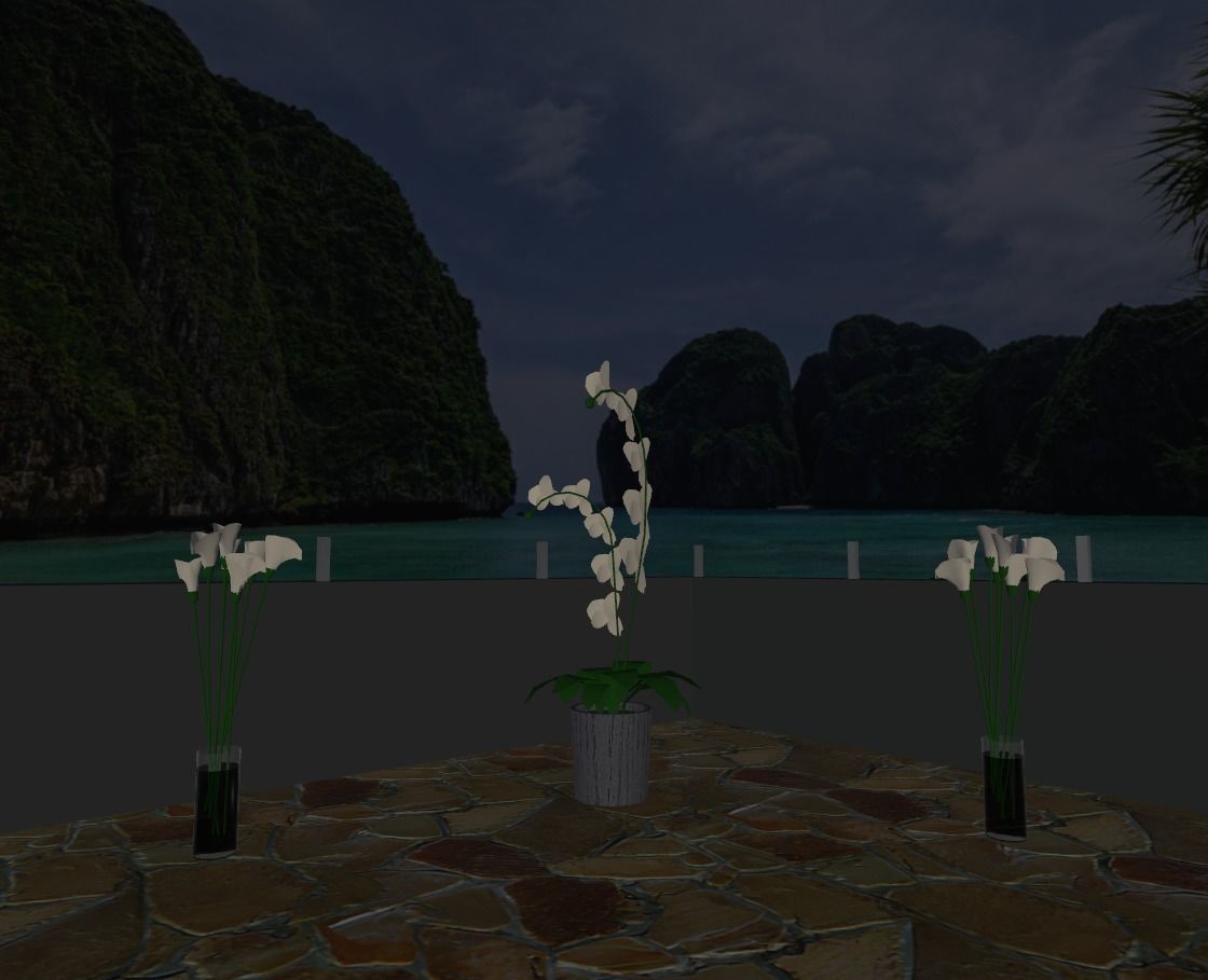 Maya Bay Island Thailand  Low-poly 3D model_40
