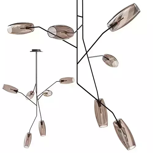 gallotti and radice diantha DVL