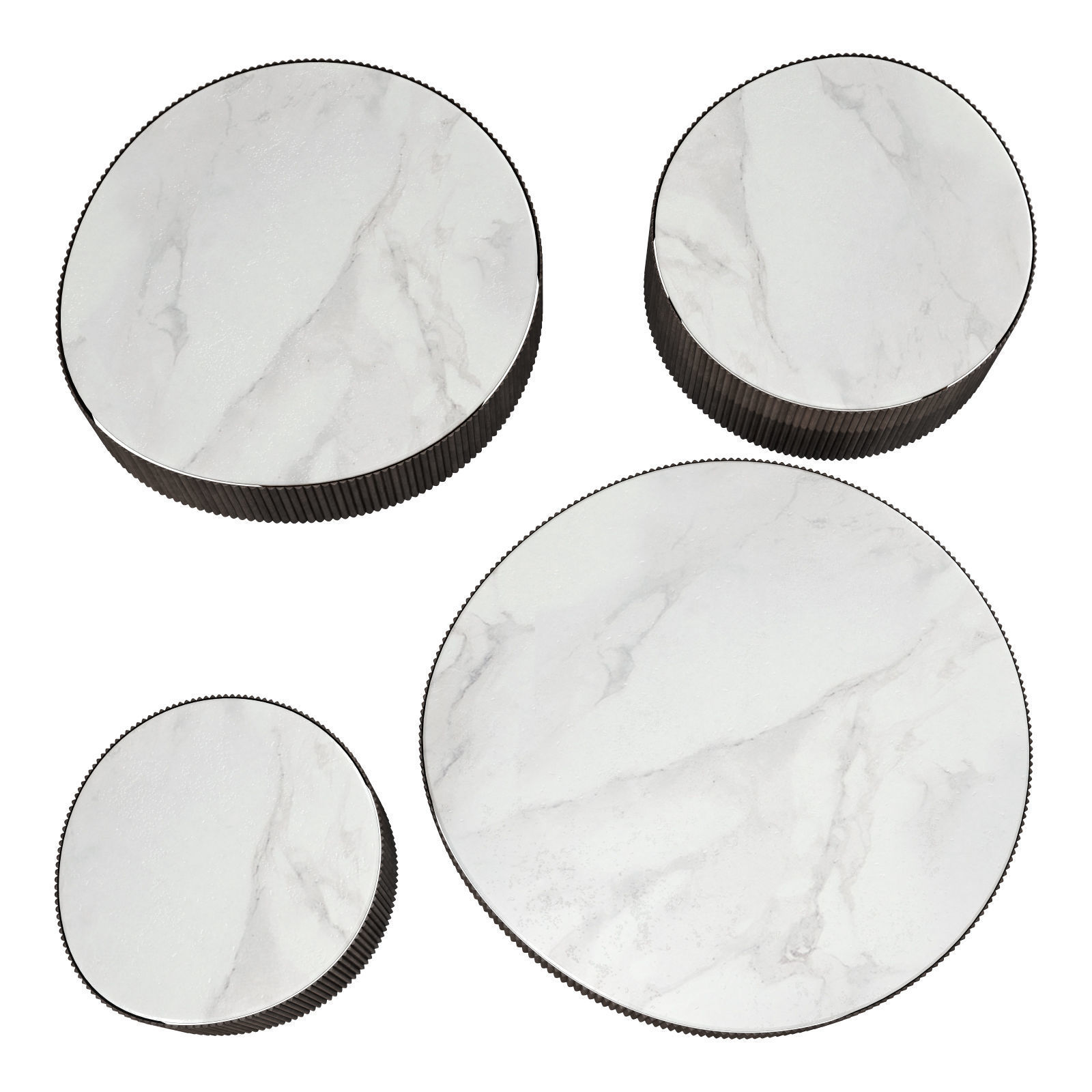 gallotti and radice nori 3D model_2