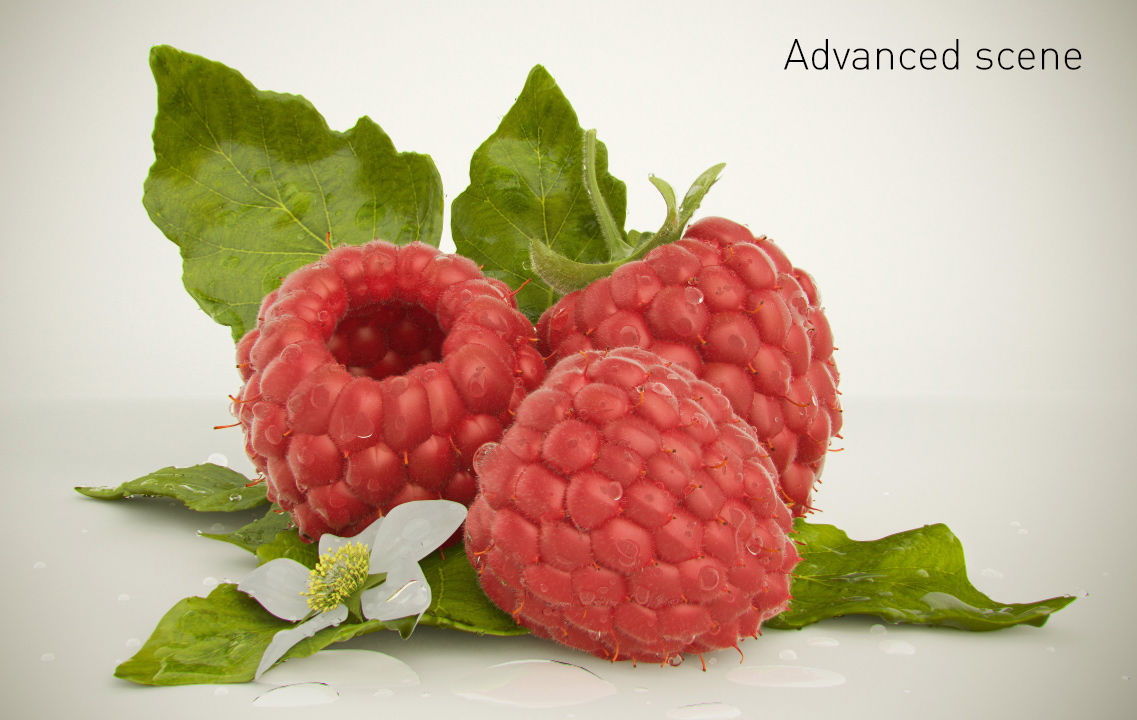 Raspberry 3D model_3