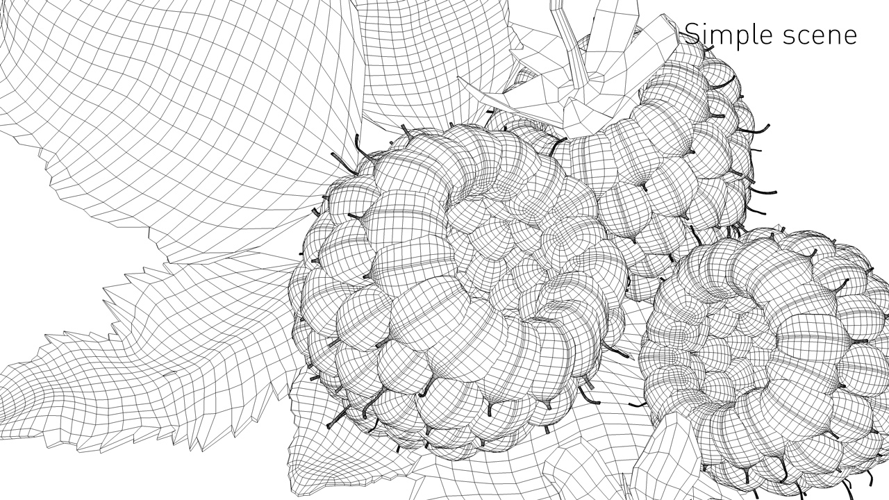 Raspberry 3D model_6