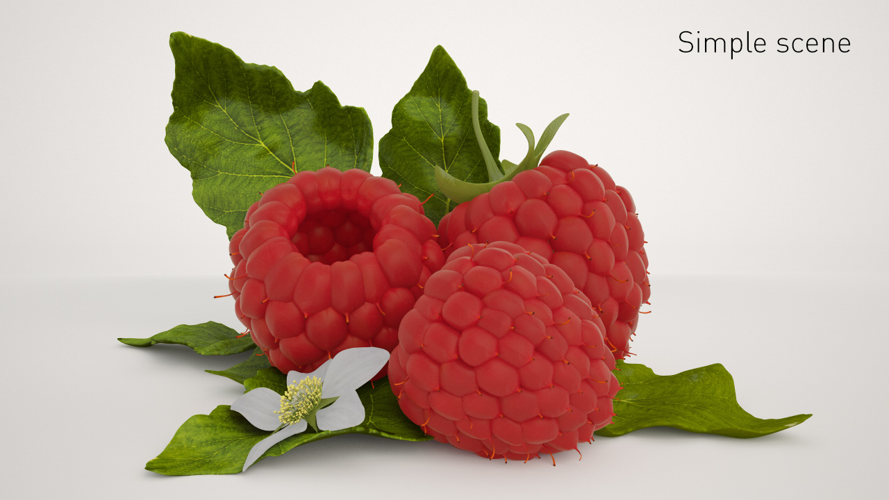 Raspberry 3D model_7