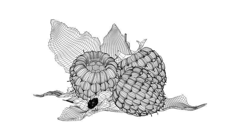 Raspberry 3D model_13