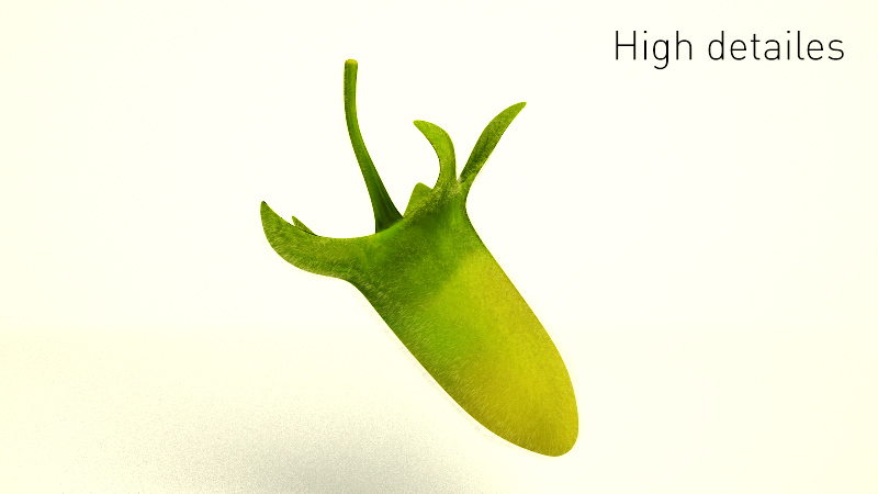 Raspberry 3D model_2