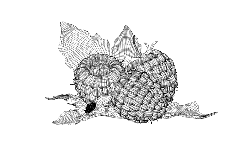 Raspberry 3D model_11