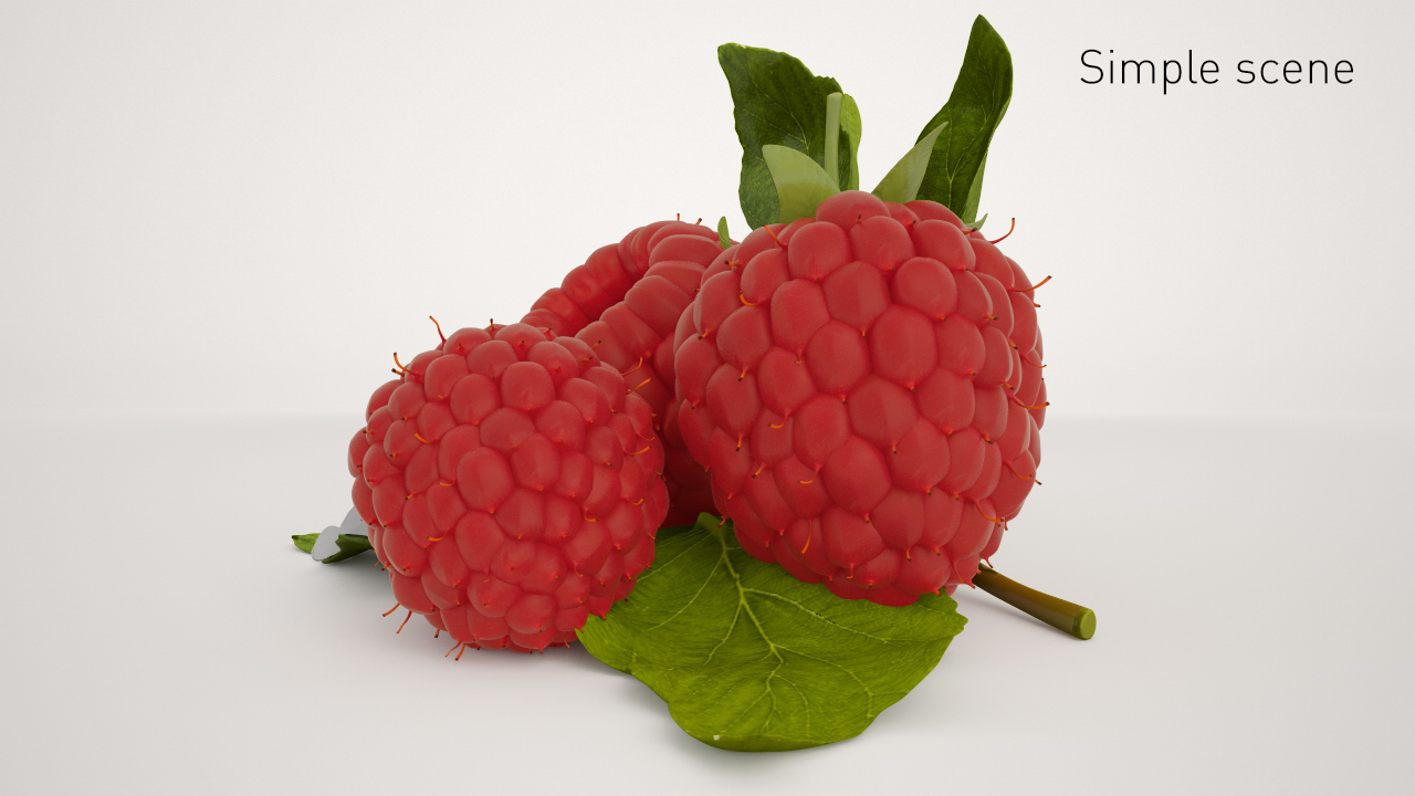 Raspberry 3D model_8