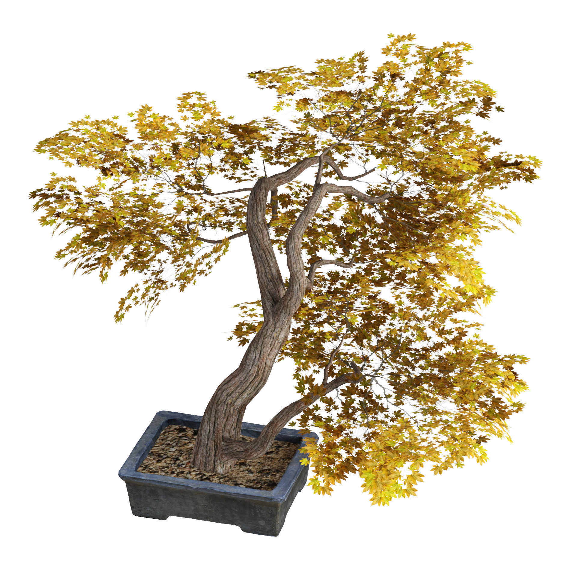 Fallen Decorative tree pot Low-poly 3D model_4