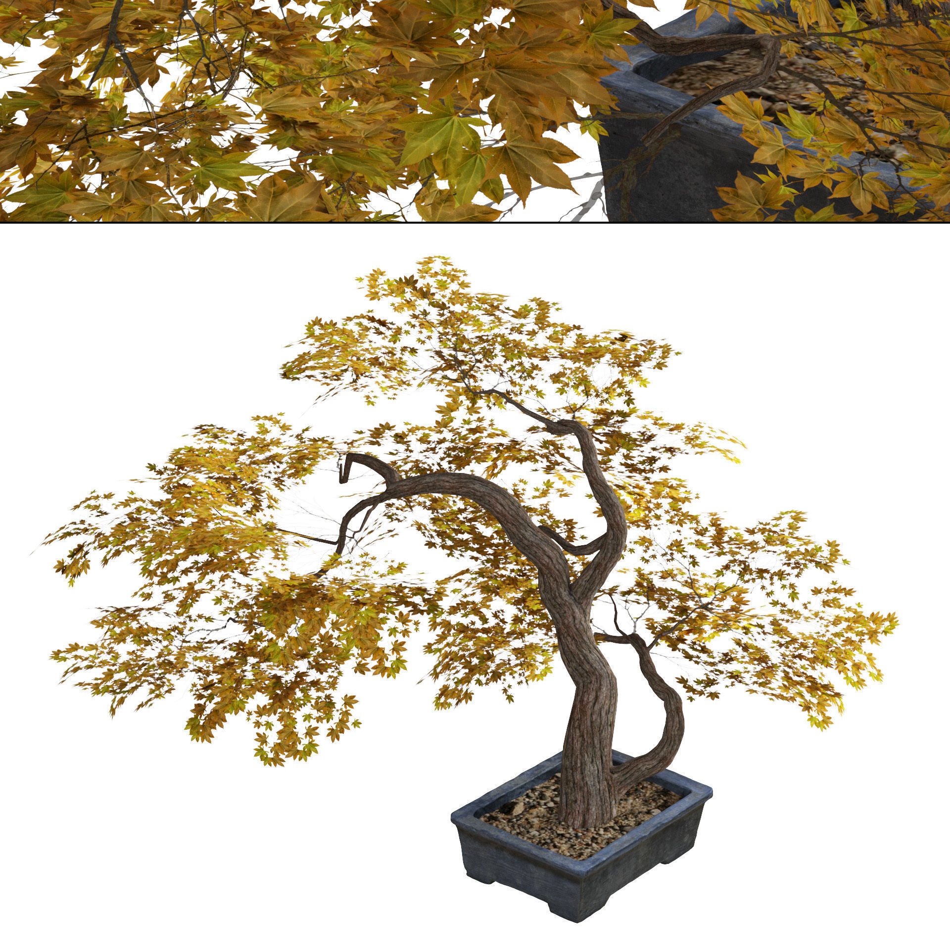 Fallen Decorative tree pot Low-poly 3D model_6