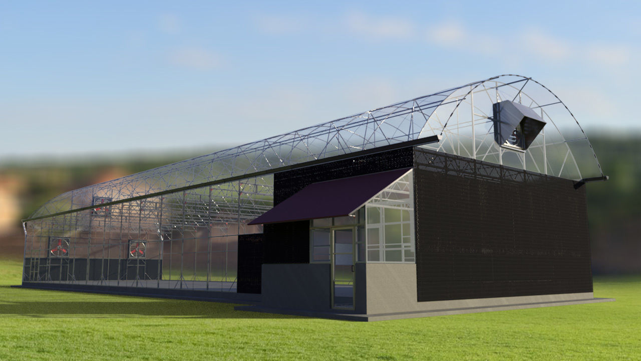 Greenhouse 3D model_1