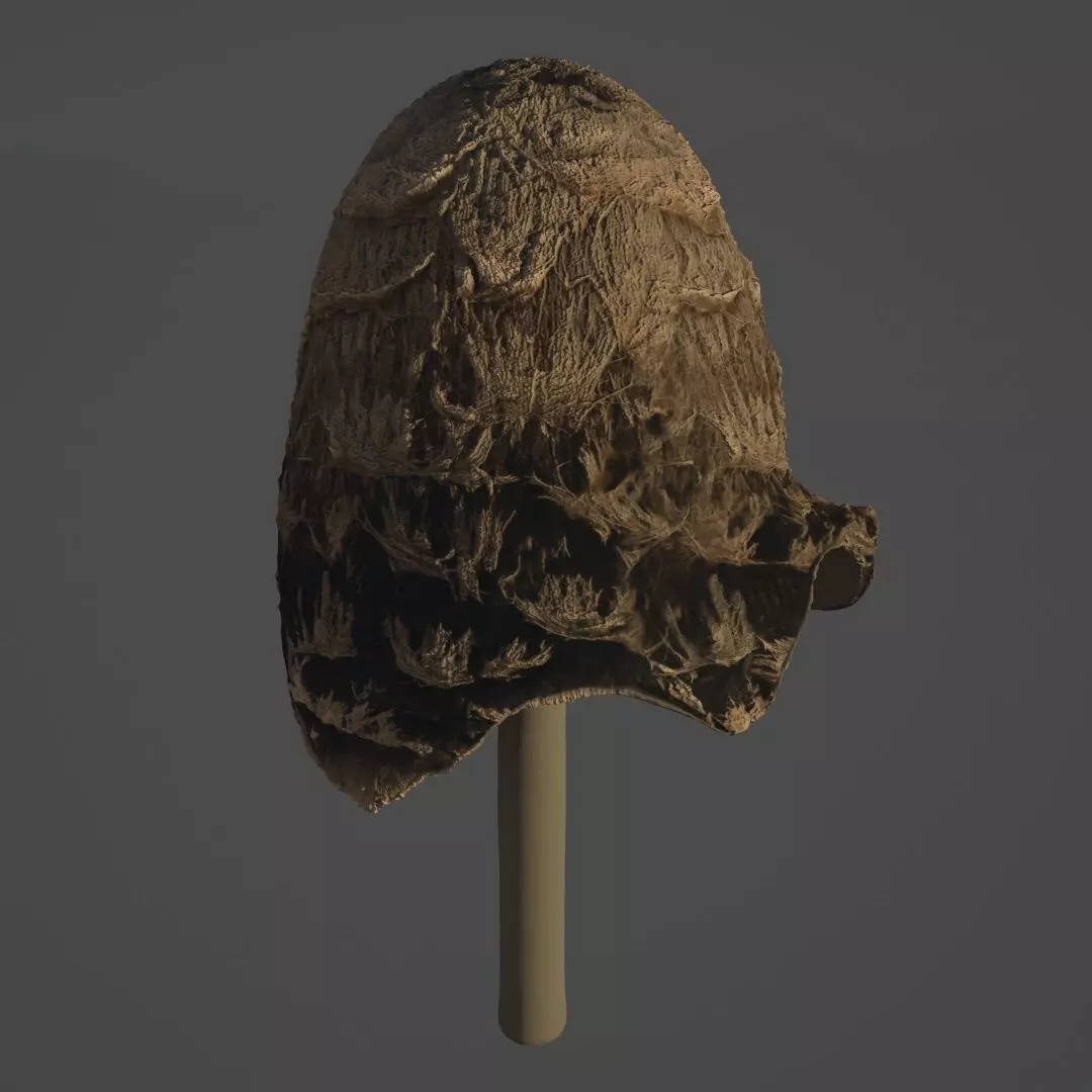White mushroom 3D model