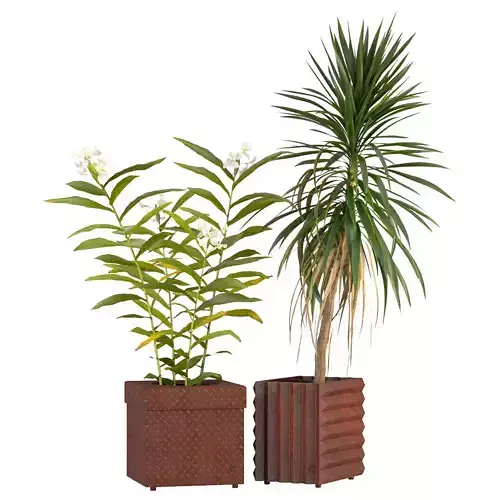 Plant set-014 3D model