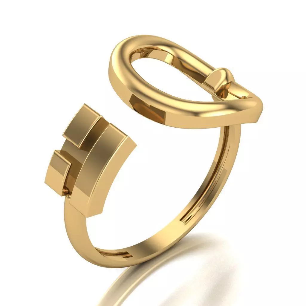 Ring 020 3D print model_0