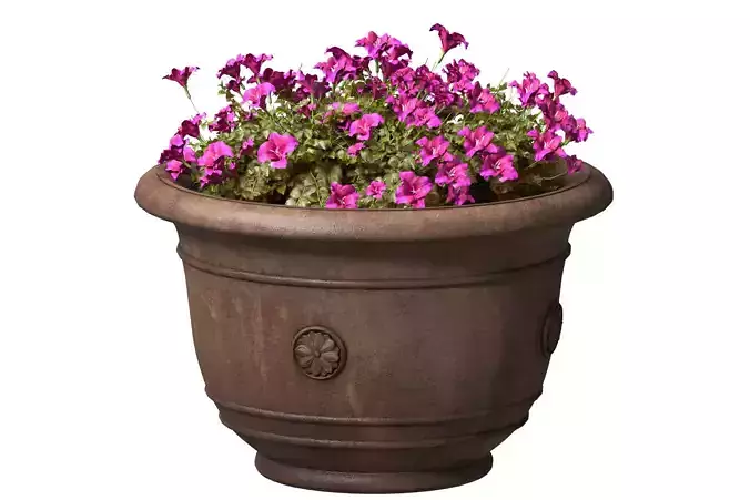Flowers Garden Plant Flowerpot Patio KINSEY GARDEN DECOR
