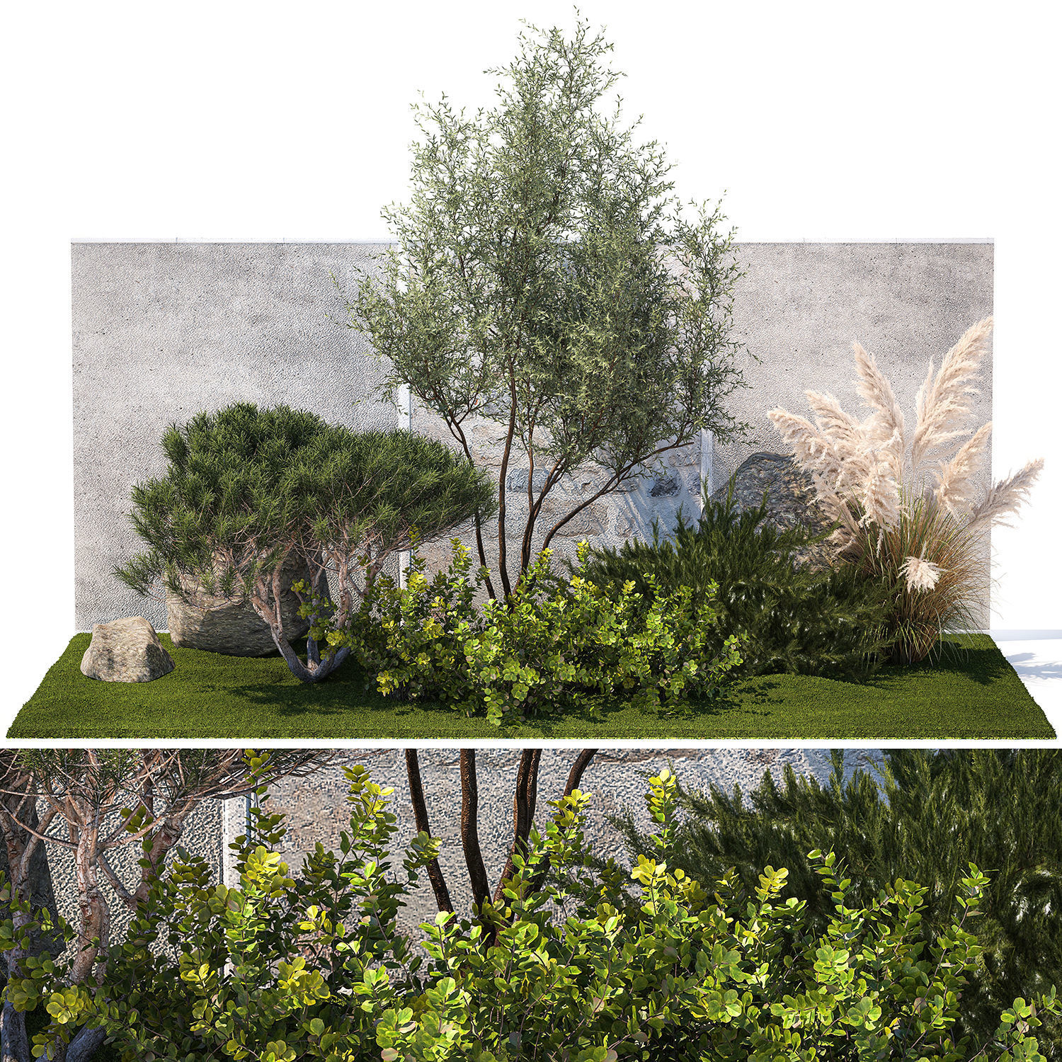Garden Juniper Pampas Pine Topiary Berberis 1402 3D model_7